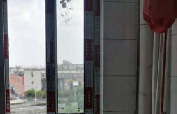 鳳強塘路泥木驗收合格