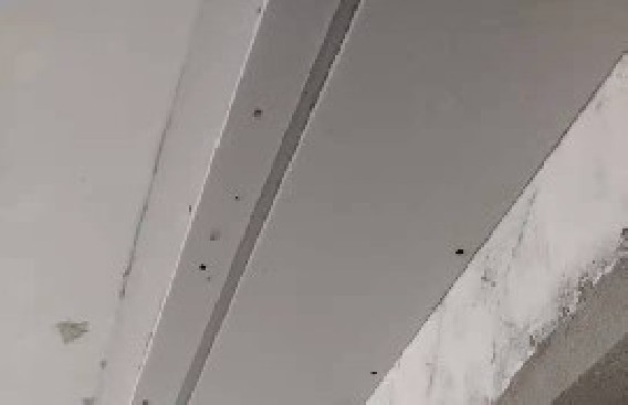 虹井路泥木驗(yàn)收