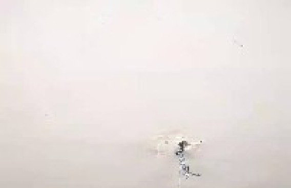 虹橋路泥木驗(yàn)收